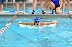 Swimming vs Bentley  Wheaton College Swimming vs Bentley. - Photo By: KEITH NORDSTROM : Wheaton, Swimming, Bentley